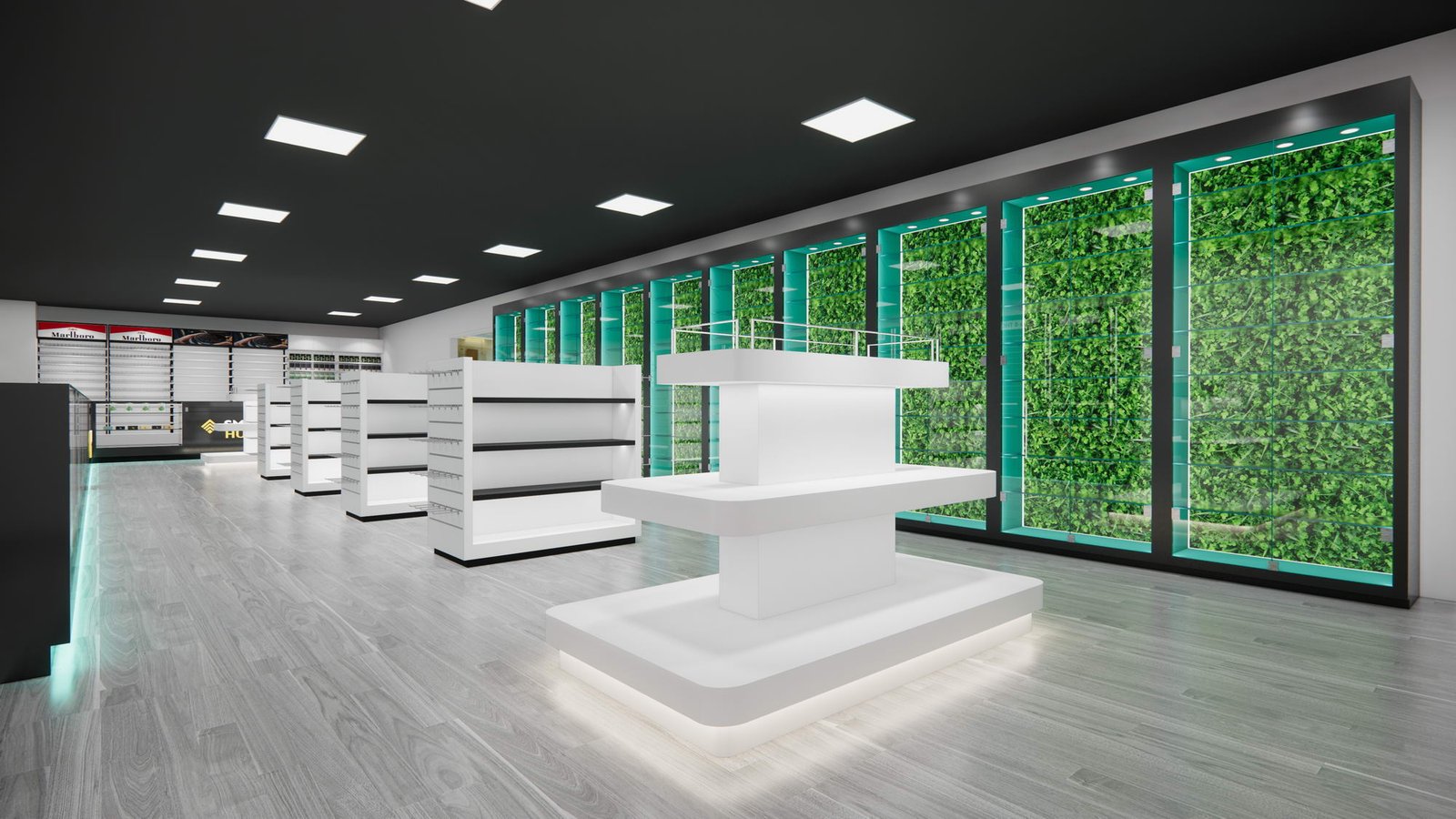 Referencia del proyecto de exhibición de tienda de tabaco