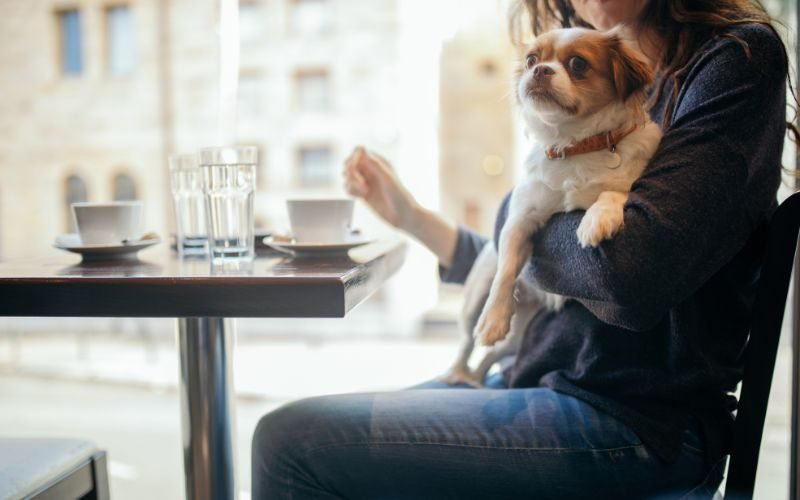 Pet-Friendly Coffee Shop